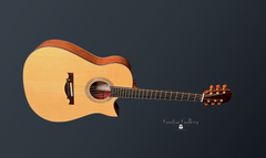 Fujii mod D guitar glam shot