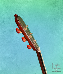 Fujii mod D guitar side of headstock