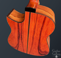 Fujii mod D guitar Asian rosewood back