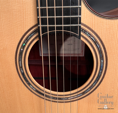 Fujii mod D guitar rosette