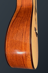 Fujii mod D guitar side detail