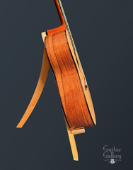 Fujii mod D guitar side