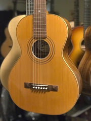 Fraulini parlor guitar