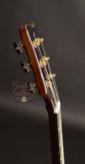 Greenfield guitar