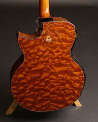 Greenfield guitar The Tree Mahogany back