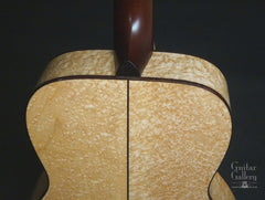 Gallagher auditorium guitar back detail