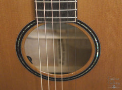 Gallagher auditorium guitar rosette