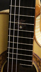 Greenfield jazz guitar fretboard