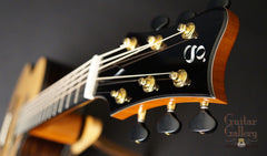 Greenfield GF Guitar