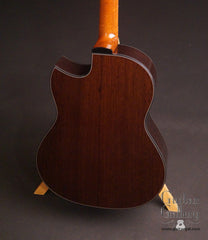 Greenfield GF guitar Wenge back