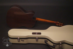 Greenfield GF guitar case