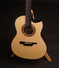 Greenfield GF guitar