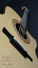 Greenfield guitar