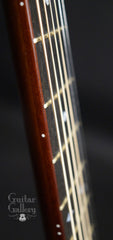 Goodall guitar fretboard 