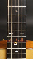 Goodall guitar fretboard