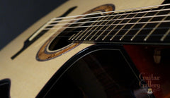 Greenfield guitar cutaway