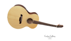 Galloup Hybrid Reserve Stock Guitar Brazilian rosewood glam shot