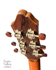 Galloup Hybrid Reserve Stock Guitar Brazilian rosewood Waverly tuners