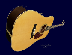 Greven Herringbone D guitar glam shot