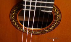 Hill Signature Standup Classical guitar rosette