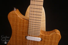 New Complexity Harmonic Master Guitar at Guitar Gallery