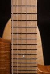 New Complexity Harmonic Master Guitar fretboard