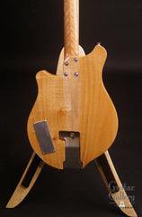 New Complexity Harmonic Master Guitar back