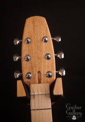 New Complexity Harmonic Master Guitar headstock