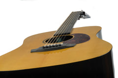 Rainsong V-DR3000x 12 string guitar