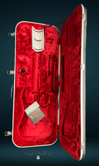 Ibanez Steve Vai Signature Pia3761 Electric Guitar inside case