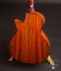 TreeHouse OMZ guitar cocobolo back