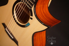 TreeHouse OMZ guitar cutaway