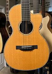 Santa Cruz Janis Ian Guitar