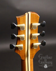 Olson JTSM Series I Guitar (2013)