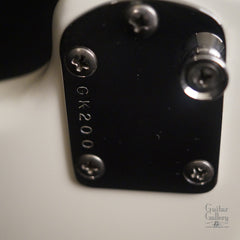 Klein headless electric guitar back plate