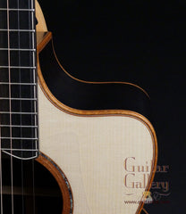 Lowden F50c cutaway