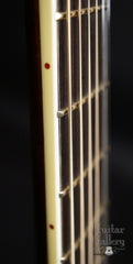 Brondel C-3 guitar fretboard