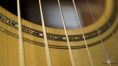 Bondel guitar rosette
