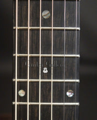 Langejans RGC-6 guitar fretboard