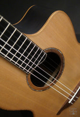 Lowden S50J guitar fretboard