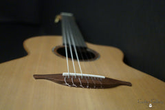 Lowden S50J guitar rosewood bridge