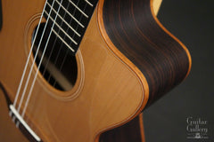 Lowden S25J guitar cutaway