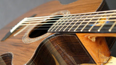 Laurie Williams guitar