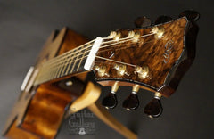 Laurie Williams Signature Kiwi Guitar headstock