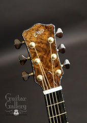 Laurie Williams Signature Kiwi Guitar headstock