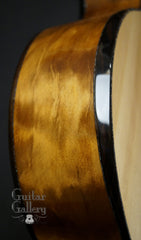 Laurie Williams Signature Kiwi Guitar bevel