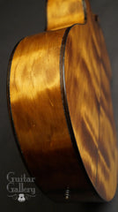 Laurie Williams Signature Kiwi Guitar ancient kauri back