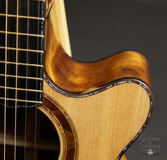 Laurie Williams Signature Kiwi Guitar cutaway