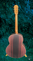 Lowden Batch 45 Guitar or F38-IR-LZ full back view