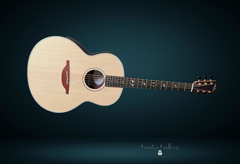 Lowden Batch 45 Guitar or F38-IR-LZ glam shot